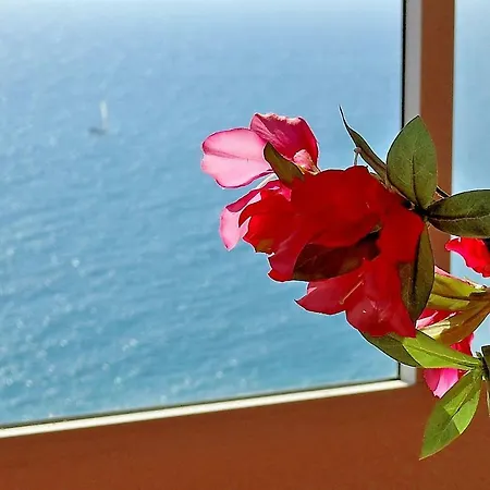 Playa Cantara アリカンテ